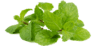 mint, leaf, peppermint-5012178.jpg